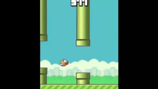 The real end of flappy bird lvl 1000 !!!!!!!!