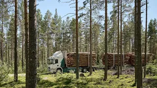 The world's first electric timber truck in action