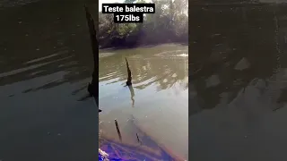 Pesca com Balestra 175lbs /Teste