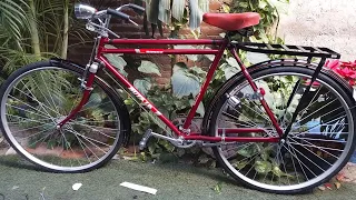 restauracion de bicicleta rodada 28 DEEPAK modificacion