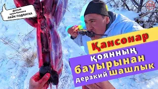 ҚАНСОНАР  Қоян аулап, шашлык пісірдім. Охота на зайца 2021-2022 Казахстан