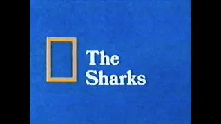 National Geographic: The Sharks (1982)