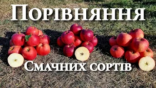 Який сорт яблук обрати. Солодкі сорти яблуні. Яблуня Gala Shniga Shniko Red.