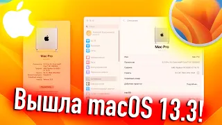 ВЫШЛА MACOS VENTURA 13.3! НА ЧТО ОБРАТИТЬ ВНИМАНИЕ? - ALEXEY BORONENKOV | 4K