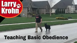 Teaching basic dog training obedience to owners