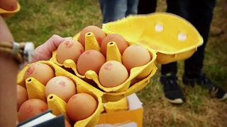 Egg Throwing World Championships on Trans World Sport