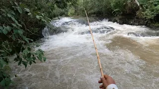 FOMOS ATRÁS DOS DOURADOS E GIGANTES, E VEJA O QUE ACONTECEU NESSA PESCARIA!!!