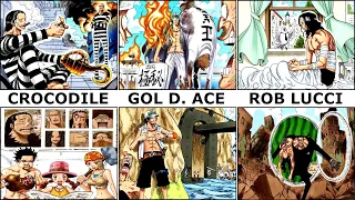 One Piece: Alle Geheimen Geschichten (Cover Stories) einfach erklärt