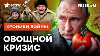 ГОЛОДУХА и ХЛЕБ по цене ЗОЛОТА! СЕЛЬХОЗ России КОШМАРИТ из-за ПОЛИТИКИ Путина