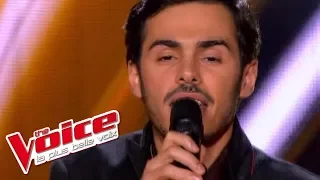 Michael Jackson – Human Nature | Gérôme Gallo | The Voice France 2013 | Blind Audition