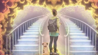 I Died And Saw Dogs In Heaven | Near Death Experience | NDE