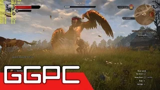 4K Witcher 3 GTX 1080 Gameplay FPS Test