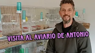 AVIARIO de ANTONIO otro GRAN TIMBRADISTA 💚🎶