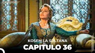 Kosem La Sultana | Capítulo 36 (HD)