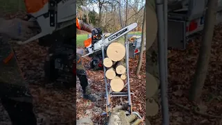 💪Stihl MS 462 cuts hardwood Buche💪 #chainsaw #stihl #powerful #wolfcraft