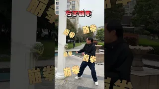 马老师的左右虎扑崩拳 #马保国 #接化发 #武术 #高手#中国功夫 #