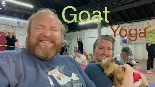 Goat Yoga in The Smokies