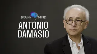 The Mind and the Brain - Antonio Damasio at BrainMind