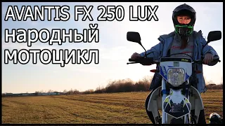 НАРОДНЫЙ МОТОЦИКЛ |Avantis FX 250 LUX на 2020 год|