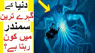 Who Lives in Deepest Part of Ocean ? - Life in Mariana Trench