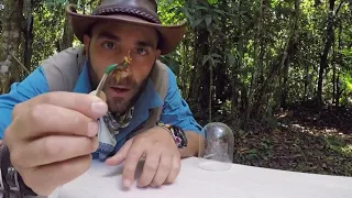 Does Brave Wilderness Coyote Peterson fake videos of getting stung?