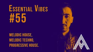 Stan Kolev | Elkins | anamē & BLR | Tiësto*Essential Vibes #55- Melodic House / Progressive  dj Mix*