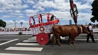 Cortejo de Carros Alegóricos XX Grandes Festas do Divino Espírito Santo Ponta Delgada 08.07.2023