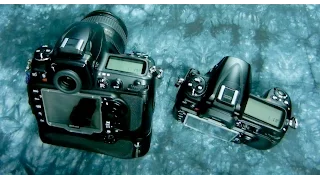 Angry Photographer: D700 vs NIKON D300, Awesome D300 for $230+ at Roberts Camera!