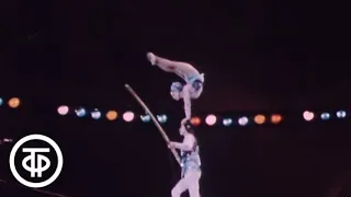 Звездные канатоходцы. Мастера циркового искусства (1977)