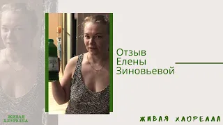 Живая хлорелла отзывы Елены Зиновьевой