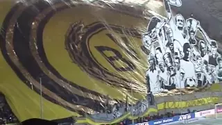 100 Jahre BVB-Freiburg Choreo zum 100. Geburtstag von Borussia Dortmund BVB - SCF Video Atmo