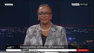 Recognition of State of Palestine: Sophie Mokoena