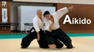 Aikido Demonstration 2019 - Shirakawa Katsutoshi shihan