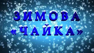 Новорічний концерт вокально-хореографічної студії «Чайка», ЗПО МПДЮТ м. Запоріжжя.