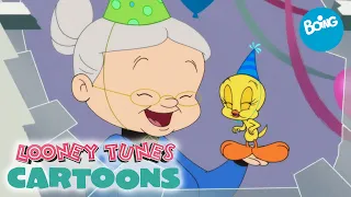 Looney Tunes Cartoons | ¡Feliz Cumpleaños, Piolín! | Boing