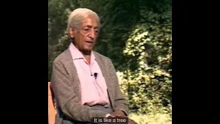 Endless fear | Krishnamurti #shorts