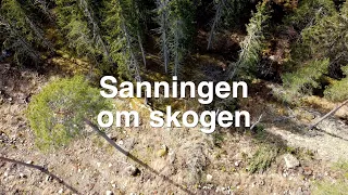 Sanningen om skogen