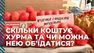 Сезон хурми у розпалі. Скільки коштує ягода та чи можна нею об’їдатися?