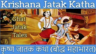 ☸️2 : Krishna Jatak Katha | कृष्णा जातक कथा | घत जातक कथा | Ghat Jatak Tales | Baudh Mahabharta