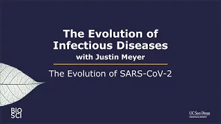 The Evolution of SARS-CoV-2