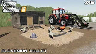 Getting cows and chicken | Small Farm - Slovenian Valley | Farming Simulator 2019 | Episode 5