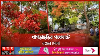 ফুলের রঙে রঙিন পাহাড়ি খাগড়াছড়ির পথঘাট | Khagrachari News | Flower | Spectacular View | Somoy TV