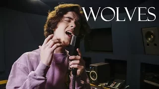 Selena Gomez, Marshmello - Wolves (Cover by Alexander Stewart)