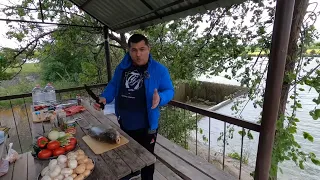 Cooked a fat carp on the wood! How to fry fish recipe