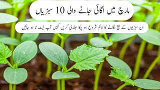 March me ugne wali 10 sabziyan | Now the time sow this 10 vegetables.