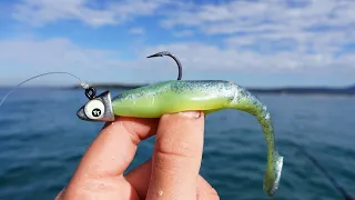 This Lure Always Catches Fish!?!