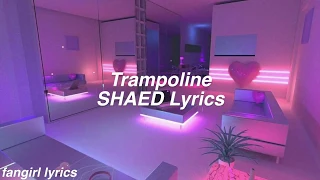 Trampoline || SHAED Lyrics