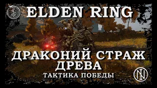 Драконий страж древа - тактика | Elden Ring | Босс