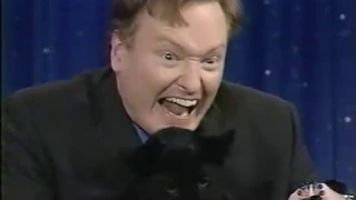 Late Night 'Jarod Miller The Animal Expert 12/11/2001 (Least Experienced)