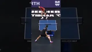 Timo Boll Hands Switch